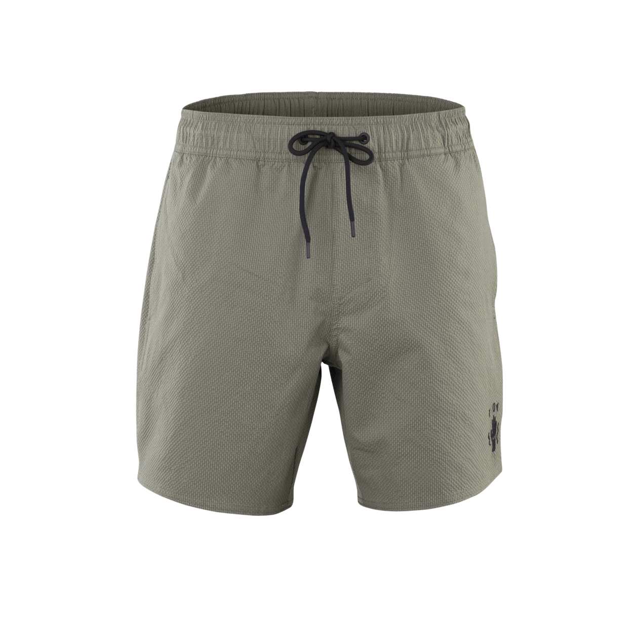 ION Boardshorts Slade 17" men 2025