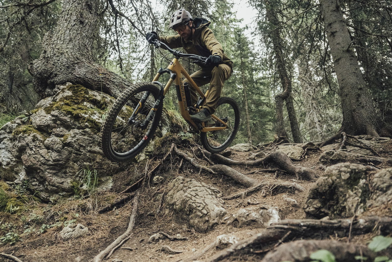 action_shot
